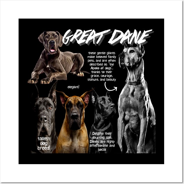 Great Dane Fun Facts Wall Art by Animal Facts and Trivias